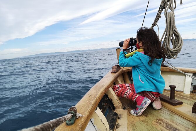8-Hour Whale Watching in Barcelona - Setting Sail From Barcelona Port Olímpic at 9:00