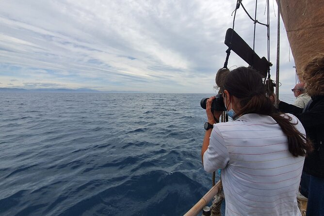 8-Hour Whale Watching in Barcelona - Sustainable Whale Watching Guidelines You Can Feel in the Moment