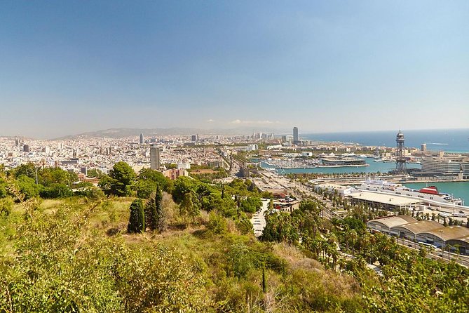 8 hours Barcelona Highlights Private tour - Who this tour fits best in Barcelona