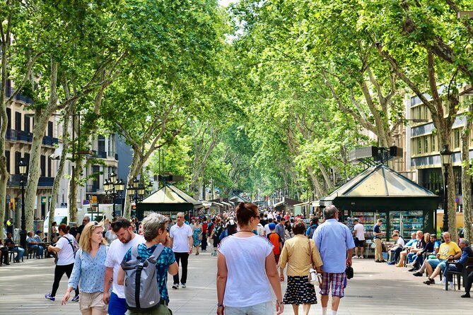 All about old Barcelona (tasting included) - Plaça del Rei: history from an alternative point of view