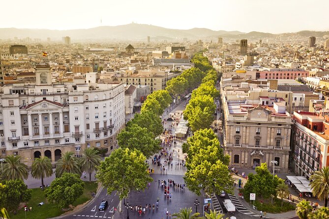 Arrival Transfer from Barcelona Airport BCN to Barcelona in Private Car/Van - Practical Tips to Make Pickup Easier