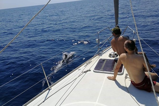 Authentic Barcelona Sailing Tour with Swim & Drinks - Sailing From Moll de Mestral, Then Getting the Sea View Fast