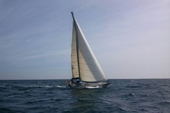 Authentic Barcelona Sailing Tour with Swim & Drinks - Who Should Book This (and Who Might Skip It)