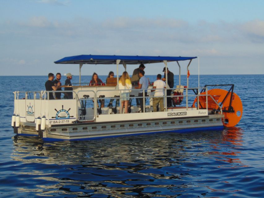 Barcelona: 1.5-Hour Private Scenic Pedal Boat Tour - Onboard comfort: sofas, wide deck, and real pedal seating