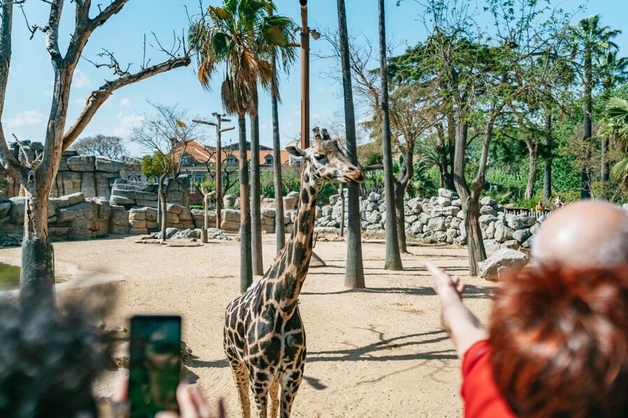 Barcelona: 1-Day Ticket to Barcelona Zoo - What makes the Barcelona Zoo special: animal welfare and conservation