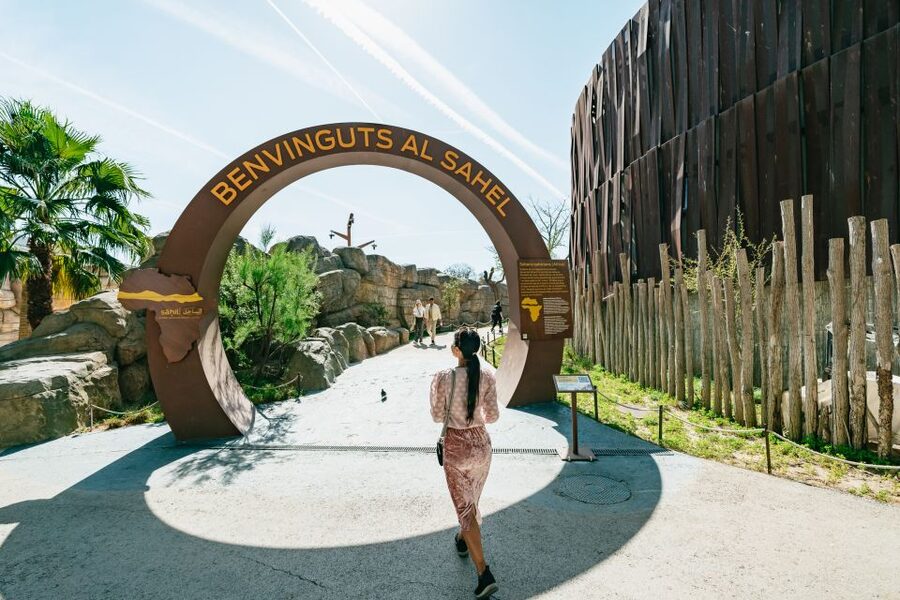 Barcelona: 1-Day Ticket to Barcelona Zoo - Family-friendly extras in the zoo: rides, play areas, and easy downtime