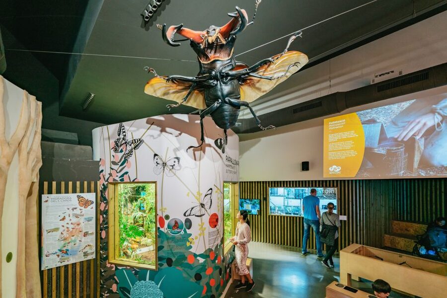 Barcelona: 1-Day Ticket to Barcelona Zoo - Skip-the-line QR entry: how you actually get in fast