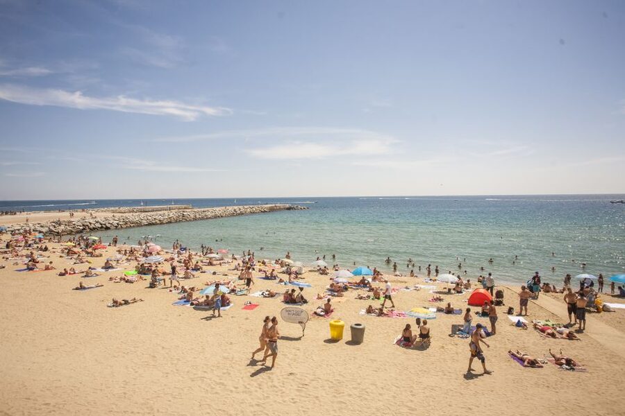 Barcelona: 2-Hour City Sights Guided Segway Tour - Barcelona 1992 era: Olympic Port and the city’s modern identity