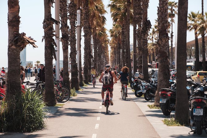 Barcelona 3-hour Bike or E-Bike Tour: Highlights and Hidden Gems - Arc de Triomf and Parc de la Ciutadella: from 1888 Fair to park break