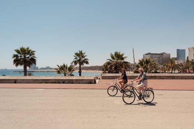 Barcelona 3-hour Bike or E-Bike Tour: Highlights and Hidden Gems - Placa de Sant Jaume and the Gothic core: a quick politics and power hit