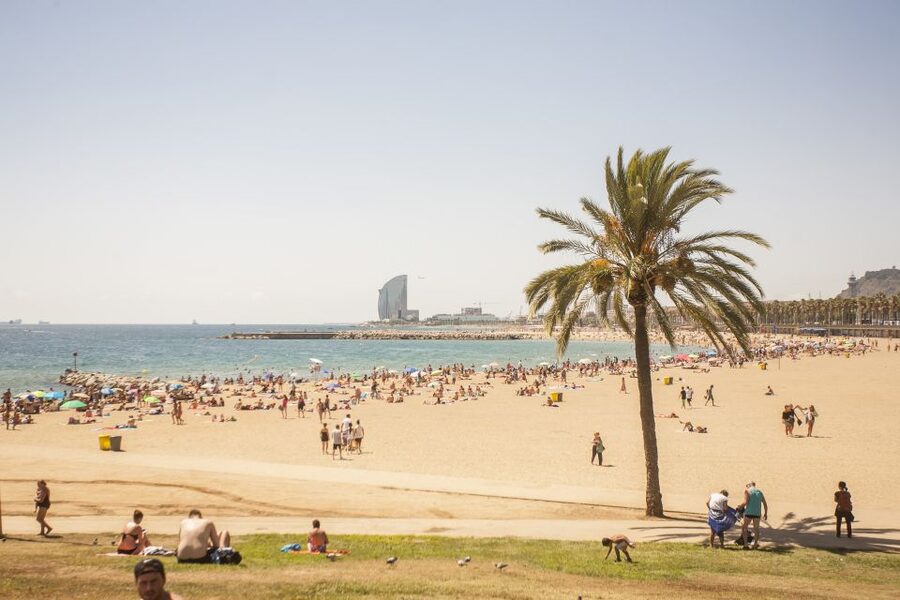 Barcelona: 3-Hour Segway Sightseeing Tour - Port Fòrum, Natural Sciences, and Parc de la Ciutadella