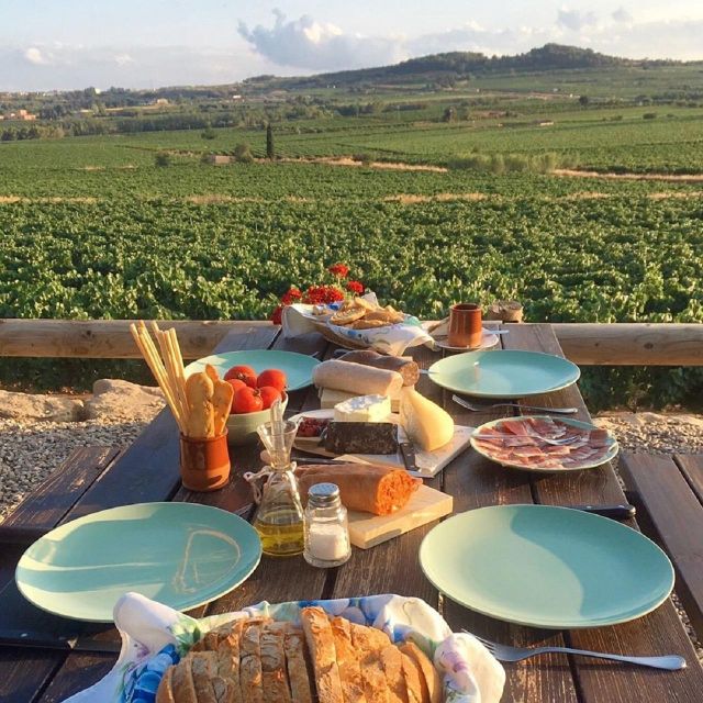 Barcelona: 3 Penedes Wineries with Hotel Pick-up and Lunch - What You Get for the Price, $206 Per Person