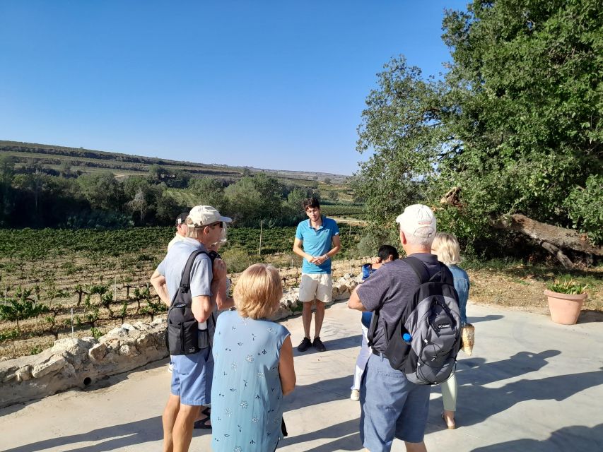 Barcelona: 3 Penedes Wineries with Hotel Pick-up and Lunch - Stop 2 at Giró del Gorner Cellar: Lunch Over the Vineyards