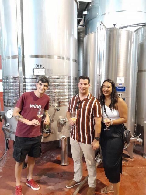 Barcelona: 3 Penedes Wineries with Hotel Pick-up and Lunch - Stop 3 in El Penedès: Long-Aging Cavas, Chocolate, and Biscuits
