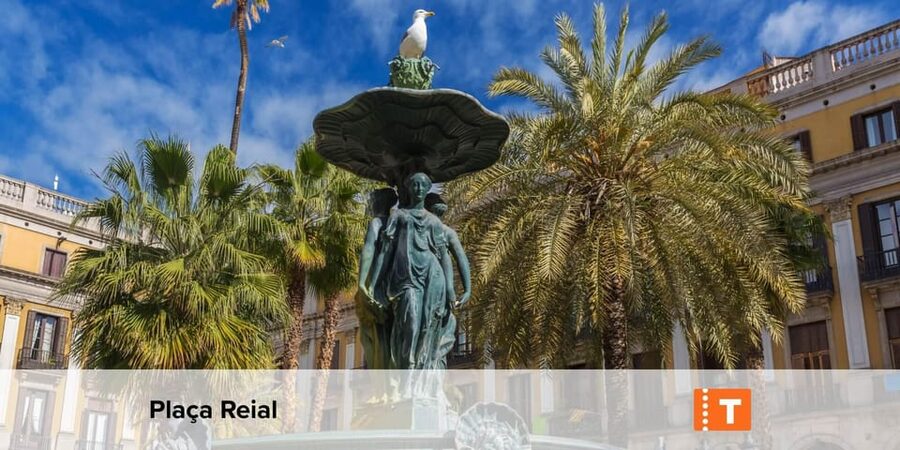 Barcelona: All-Inclusive City Pass & Public Transport Option - Museums and Quirky Culture, From Banksy to Hemp