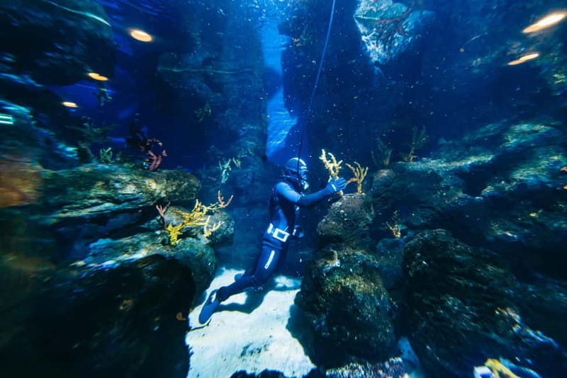 Barcelona Aquarium: Entry Ticket - Price, Value, and Who This Aquarium Ticket Fits Best