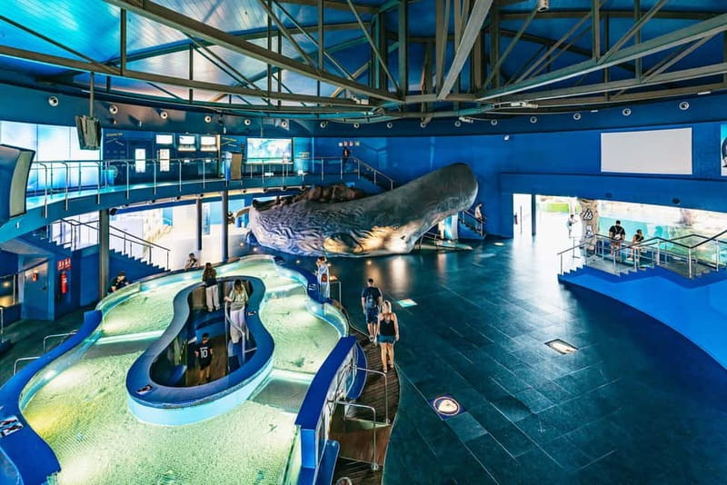 Barcelona Aquarium: Entry Ticket - Planeta Aqua: Interactive Learning That Doesn’t Feel Like a Lecture