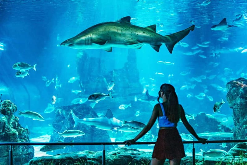 Barcelona Aquarium: Entry Ticket - Timing and Crowds: Choosing the Best Start Time
