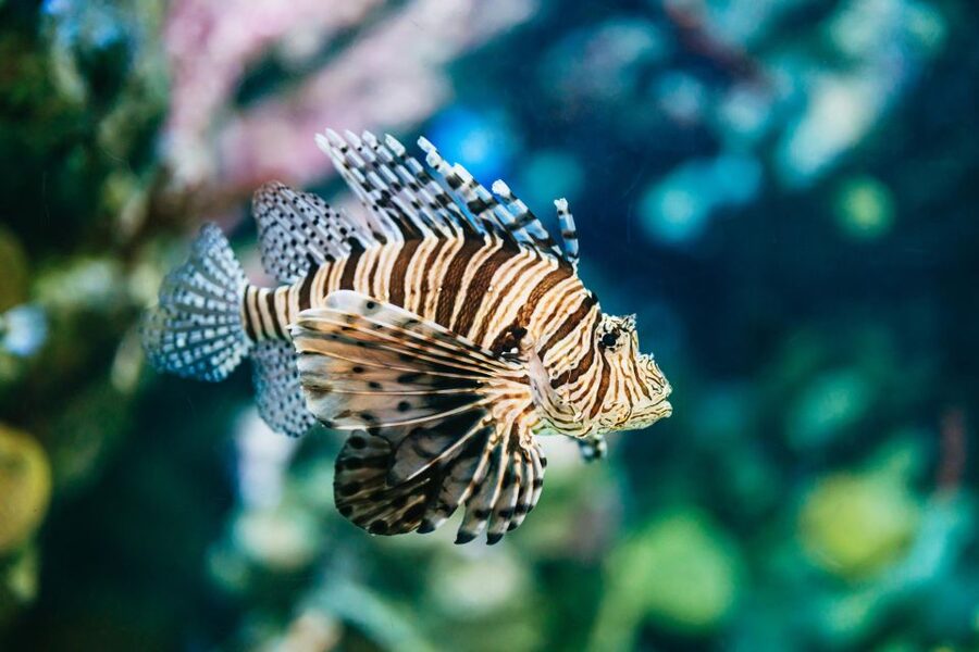 Barcelona Aquarium: Entry Ticket - Food, Shop, and the Costs You Might Add
