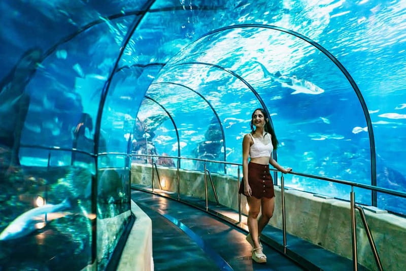Barcelona Aquarium: Entry Ticket - Accessibility and Stroller-Friendly Layout