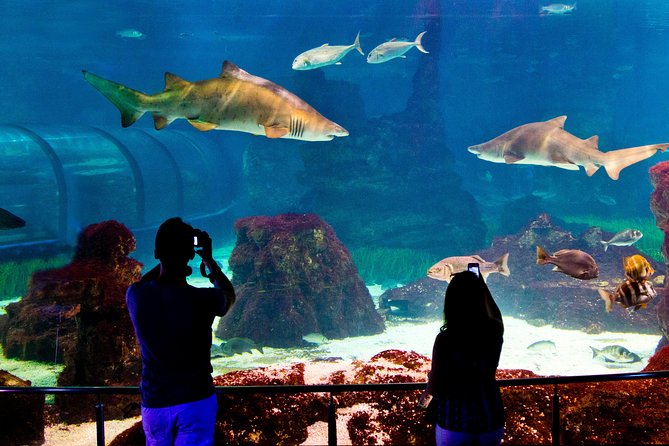 Barcelona Aquarium Skip the Line Ticket - How Long Should You Spend Here?