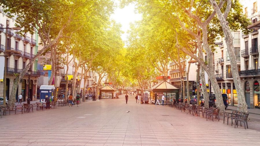 Barcelona Audioguide - TravelMate app for your smartphone - Montjuïc and the view-driven parts of your day