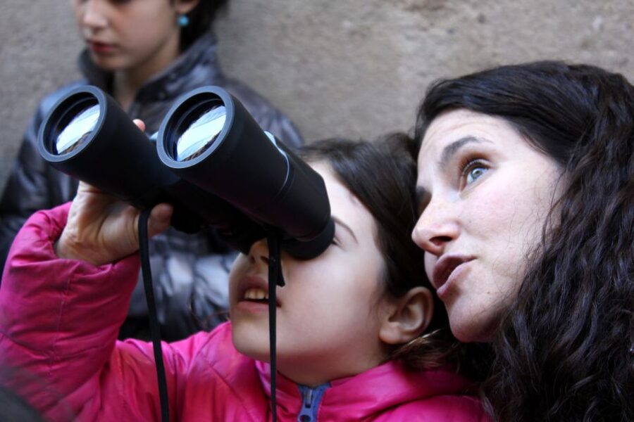 Barcelona: Barrio Gótico Dragon Tour for Families - What you actually learn about the dragon, not just where to find it