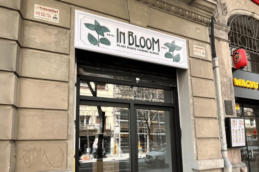 Barcelona: Catalan Cuisine cooking course 100% vegan - Price and value for a 4 hour vegan Catalan cooking class