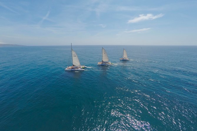 Barcelona Catamaran Party Tour For Young People - Arriving at Carrer de la Marina, 7 and Getting on Board Fast