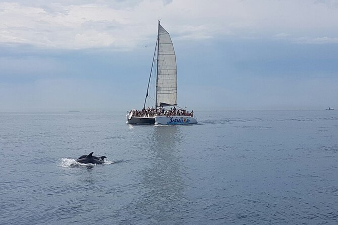 Barcelona Catamaran Party Tour For Young People - The Views Along the Barcelona Coast, Plus How to Enjoy Them