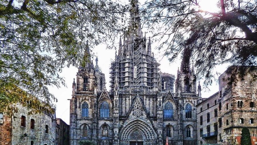 Barcelona Cathedral: Exclusive walking tour & entry tickets. - Small group size and timing: why 2 hours can feel surprisingly satisfying