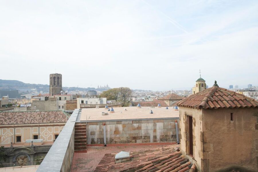 Barcelona Cathedral: Ticket, Guided Tour and VR Experience - Timing, duration, and how not to feel rushed
