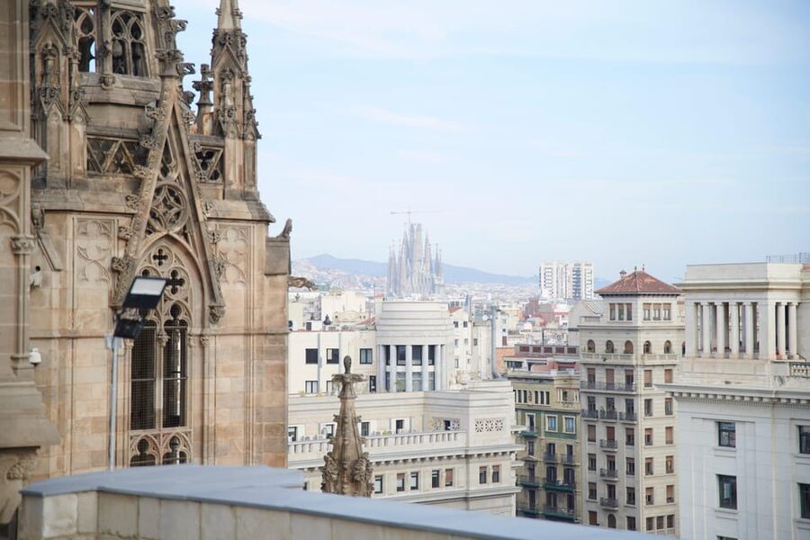 Barcelona Cathedral: Ticket, Guided Tour and VR Experience - Saint Eulalia and the 13 geese courtyard symbol