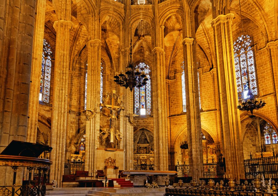 Barcelona Cathedral: Ticket, Guided Tour and VR Experience - Cloister calm: columns, sculptures, and quiet perspective shifts