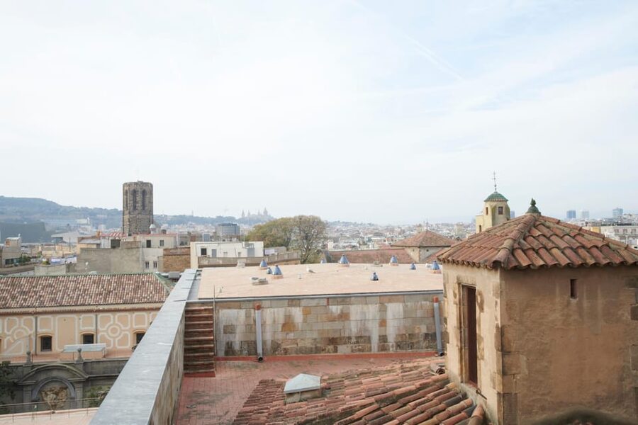 Barcelona Cathedral: Ticket, Guided Tour and VR Experience - Chapel of Saint Lucia and the cathedral’s light moment