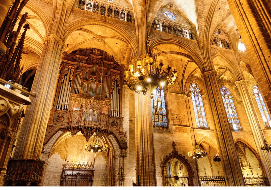 Barcelona Cathedral: Ticket, Guided Tour and VR Experience - VR glasses and access to off-limits cloister areas