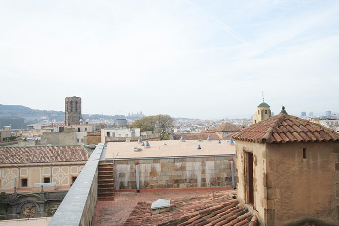 Barcelona Cathedral: Ticket, Guided Tour, Terrace + VR Experience - Rooftop Terrace Access: City Views Included, Not Extra Cost