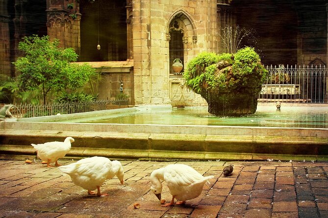 Barcelona Cathedral: Ticket, Guided Tour, Terrace + VR Experience - Meeting Point at Pcta. de la Seu, 7: How to Start Smoothly