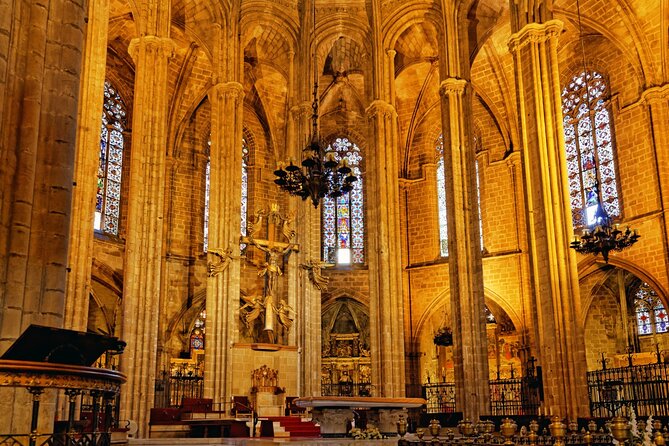 Barcelona Cathedral: Ticket, Guided Tour, Terrace + VR Experience - Who Should Book This Barcelona Cathedral Tour?