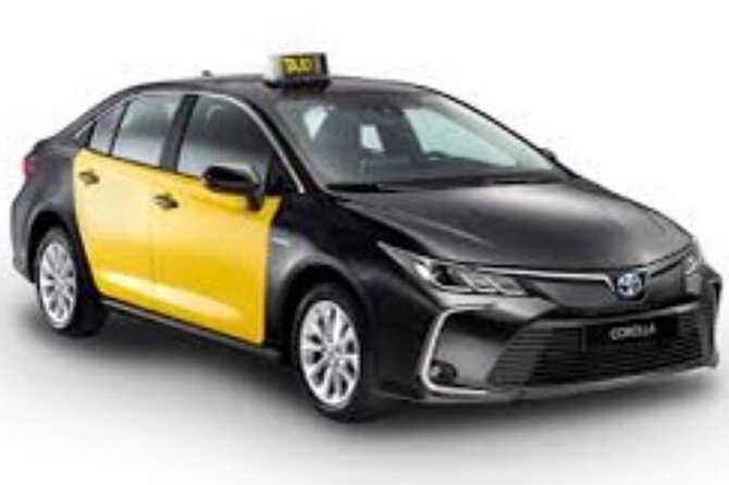 Barcelona City to Cruise Port Private Transfer - Vehicle size, passenger count, and planning for groups