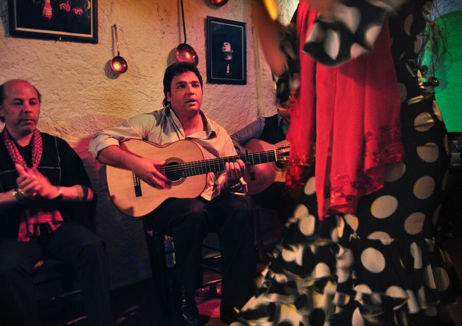 Barcelona: City Tour & Flamenco Show with Wine & Tapas - Palau Dalmases flamenco: the main act in a medieval palace