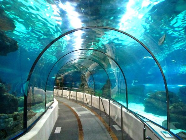 Barcelona City Tour Hop-On Hop-Off and Aquarium - Key things to know before you ride
