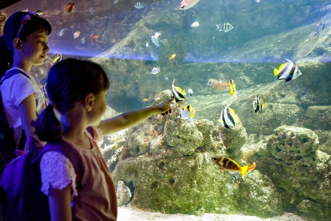 Barcelona City Tour Hop-On Hop-Off and Aquarium - Barcelona Aquarium at Port Vell: what to expect at 10.00h