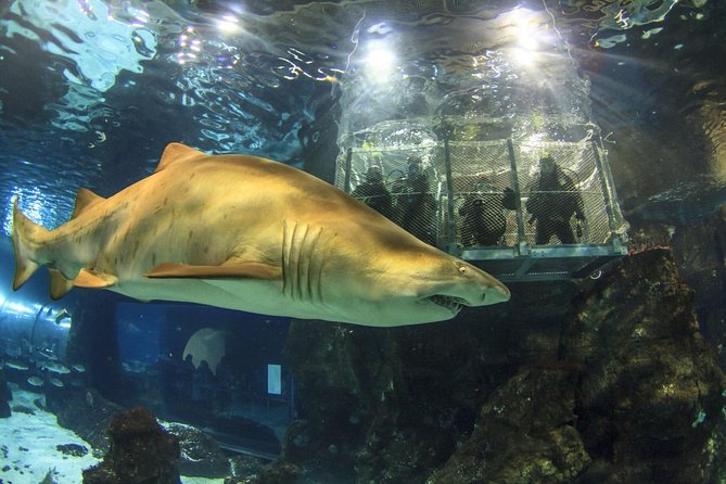 Barcelona City Tour Hop-On Hop-Off and Aquarium - Using the ticket to stretch your day across Barcelona