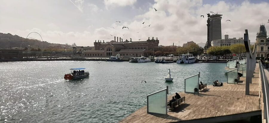 Barcelona: City Views Catamaran Cruise with Music - The Coastline Route: Skyline Angles, Beaches, and the Port in Action