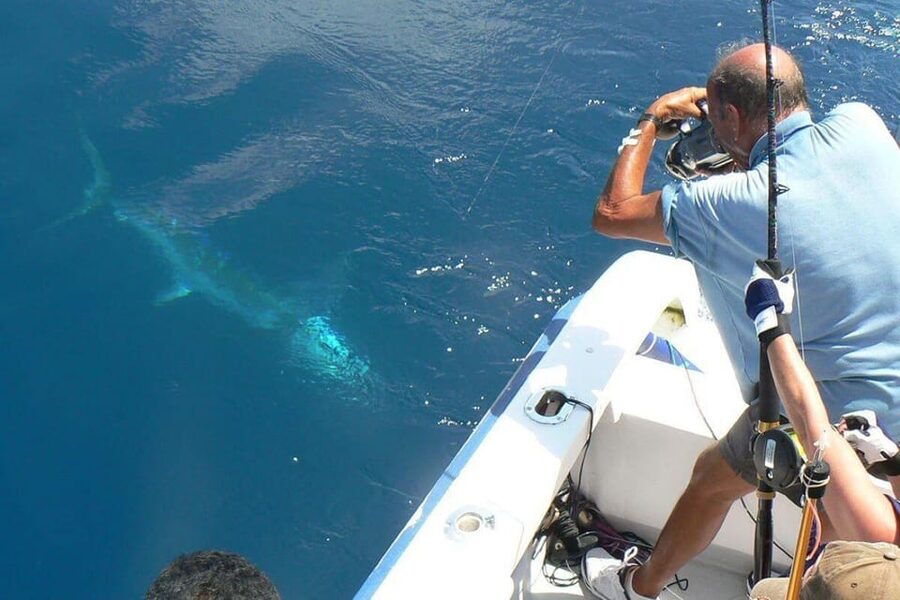 Barcelona: Coastal Fishing Trip - Key highlights you will feel on this charter