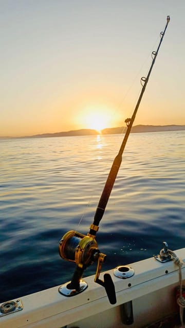 Barcelona: Coastal Fishing Trip - What fish you may catch, and how season changes your odds