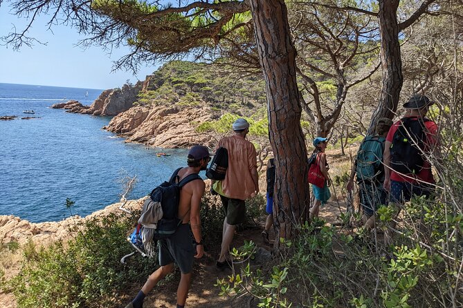 Barcelona: Costa Brava Easy Hike, Snorkel, Cliff-Jump & Meal - The Family Bay With Wooden Beach Huts and a Promenade