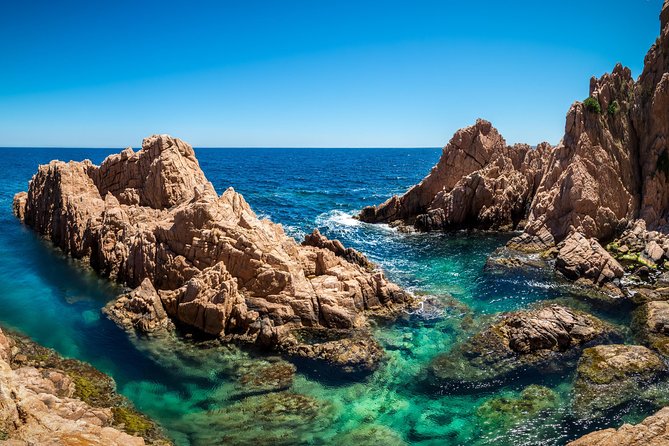 Barcelona: Costa Brava Easy Hike, Snorkel, Cliff-Jump & Meal - Snorkeling Time in Protected Water, Plus Optional Cliff Jumps