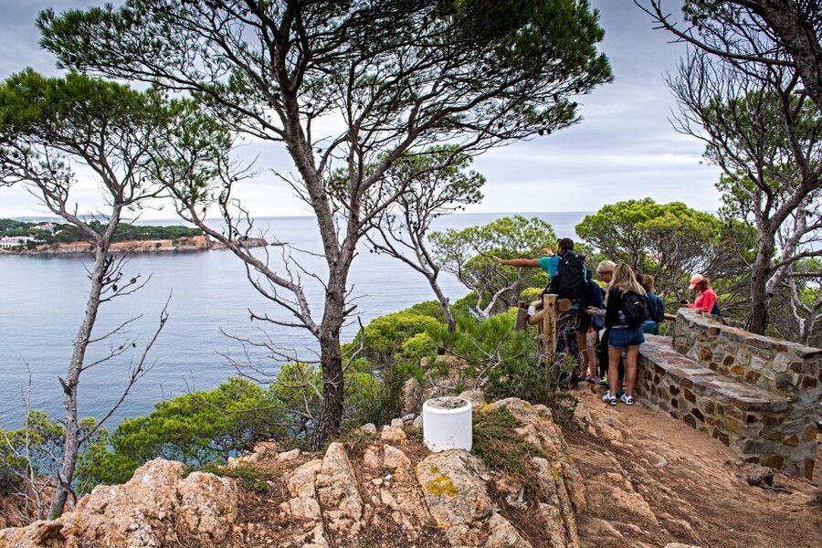 Barcelona: Costa Brava Hiking, Sea Kayaking & Lagoon Dipping - The El Camino de Ronda Hike From Sant Feliu de Guíxols